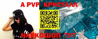 стафф Кингисепп