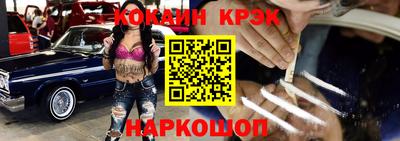стафф Кингисепп