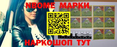 стафф Кингисепп