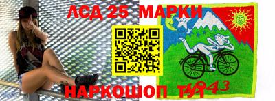 стафф Кингисепп