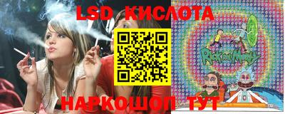 стафф Кингисепп