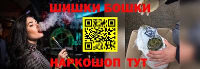 стафф Кингисепп