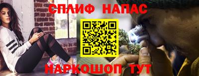 стафф Кингисепп