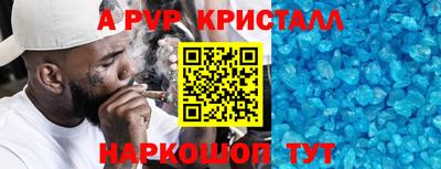 стафф Кингисепп