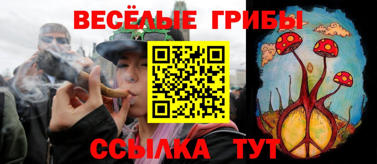 Галлюциногенные грибы Magic Shrooms Костомукша