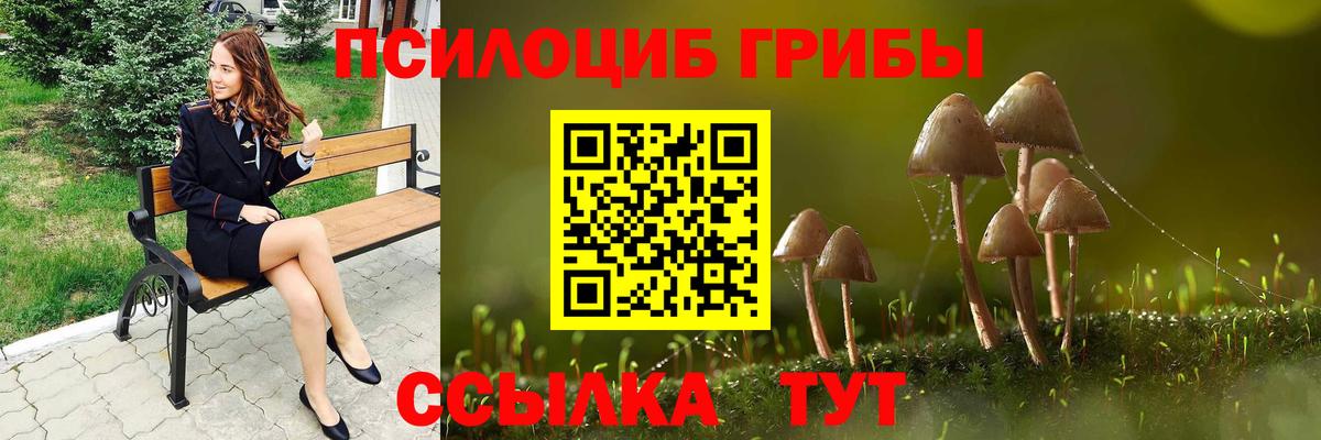 Костомукша  Псилоцибиновые грибы MAGIC MUSHROOMS  Вход с VPN  Галлюциногенные грибы GOLDEN TEACHER 